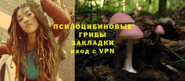 молекула духа Абинск