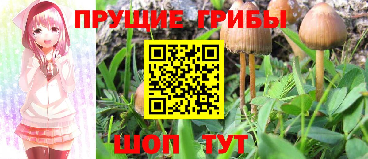 Галлюциногенные грибы GOLDEN TEACHER Тулун