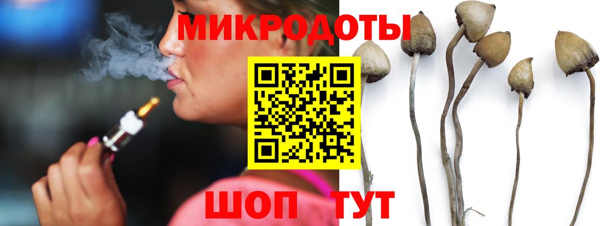 Тулун  Галлюциногенные грибы мицелий  где продают   Вход с VPN 